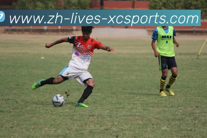 杏彩体育平台生态图