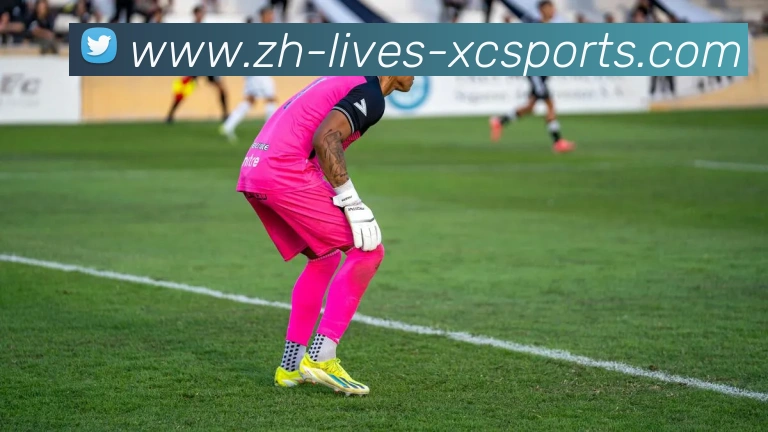 杏彩体育全站App